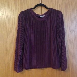 Velvet Bell Sleeve Top